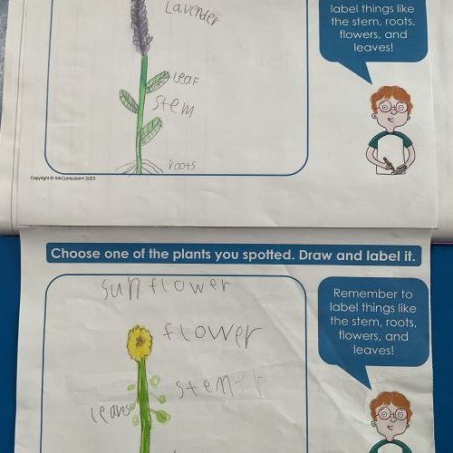 31: Wb: 11.5.26 Science Plants